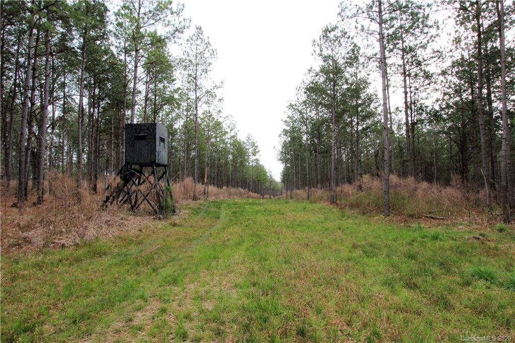Tbd Prison Camp Road Polkton, NC 28135 - Photo 17 of 34