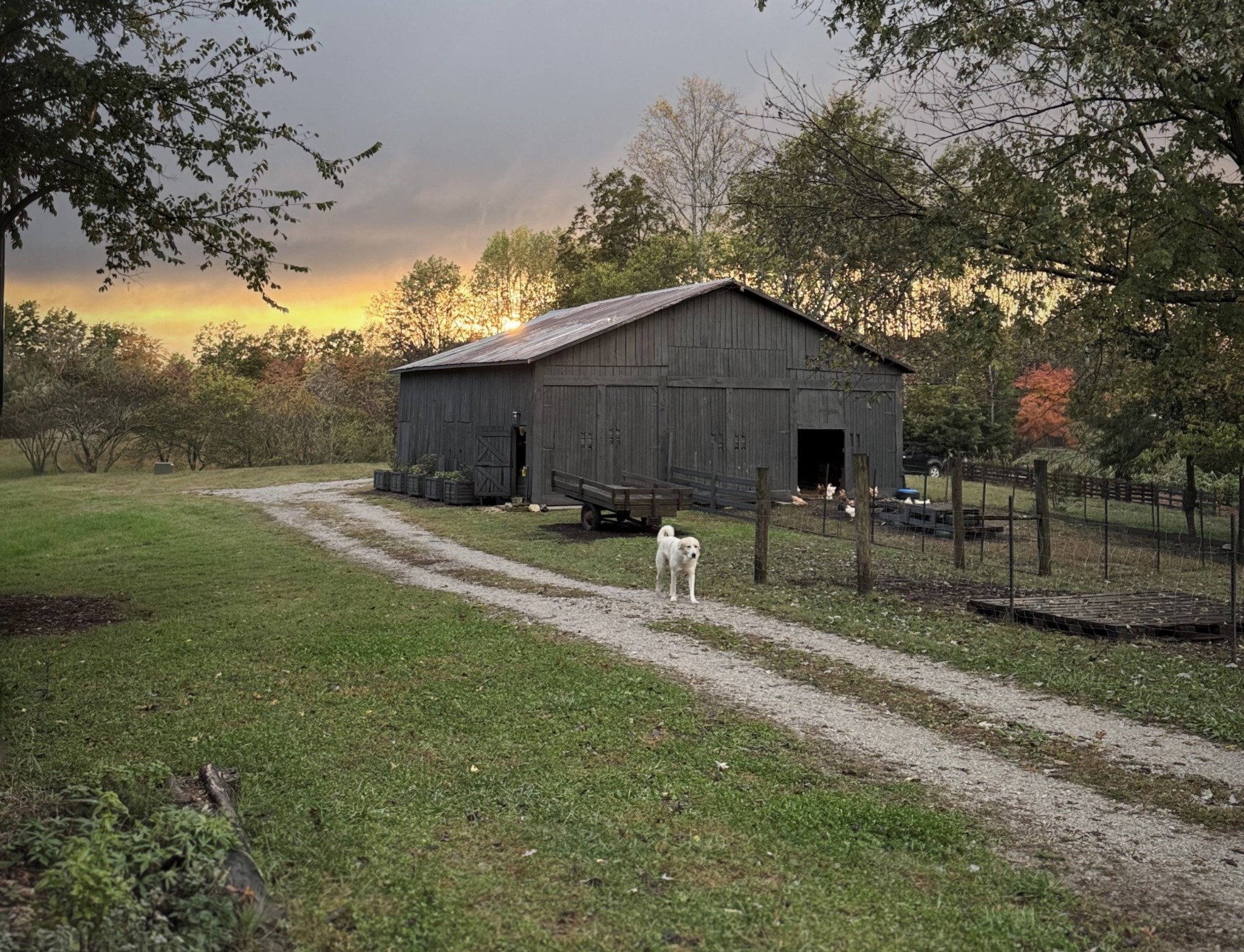 6045 Green Road Bloomington Springs, TN 38545 - Photo 6 of 65