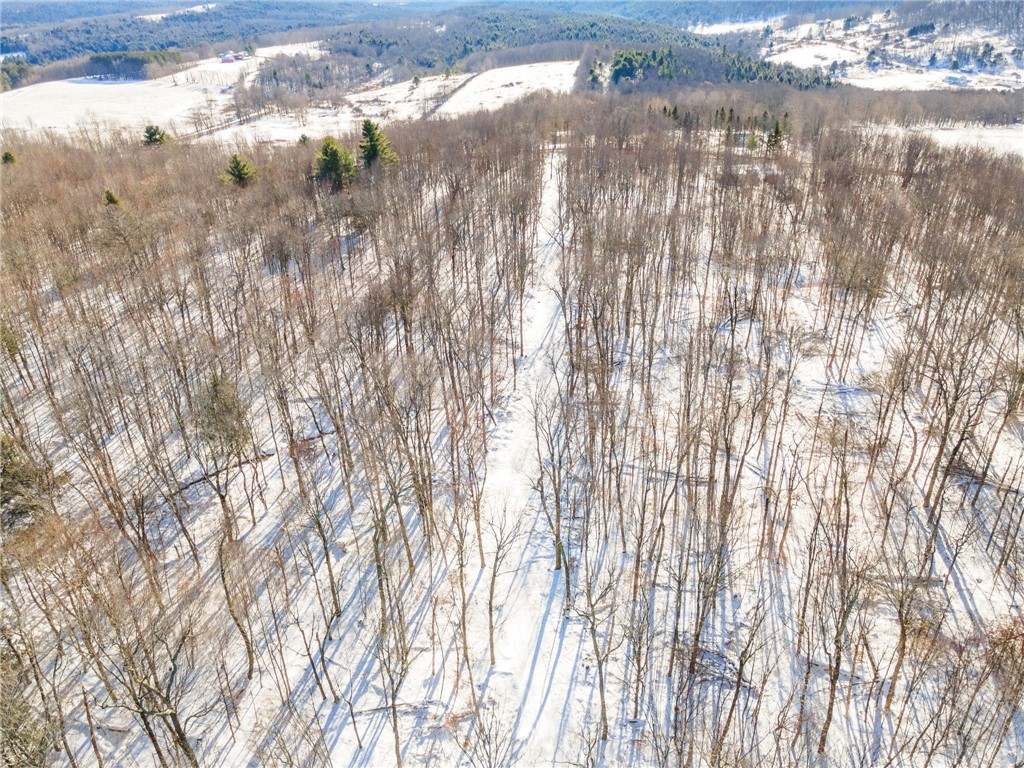 Hollenbeck Road Worcester, NY 12197 - Photo 14 of 33 Trail into property