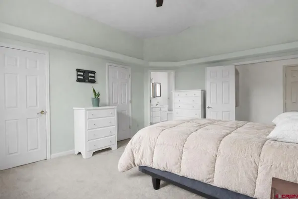a bedroom with a bed and a closet