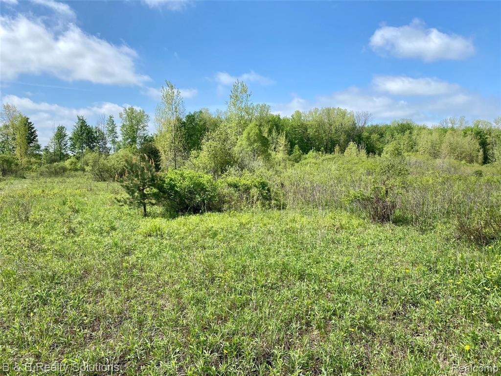 0 O Brien Road Mayville, MI 48744 - Photo 8 of 22