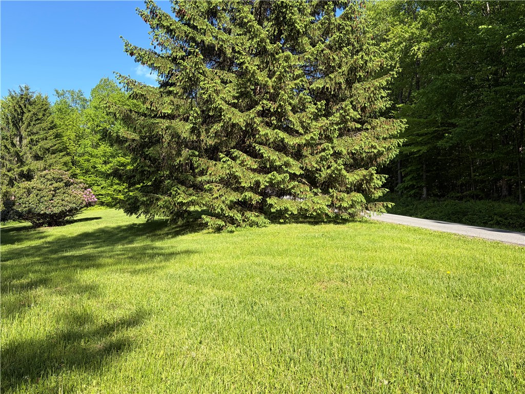 559 Mott Hill Road Edmeston, NY 13335 - Photo 37 of 40