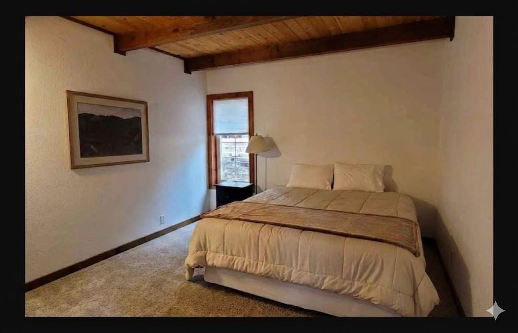 3880 Forest Road Carnelian Bay, CA 96140 - Photo 20 of 28