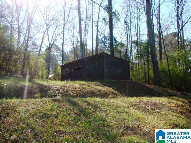 678 Old Sulphur Springs Road, Unit 2 Wellington, AL 36279 - Photo 3 of 11