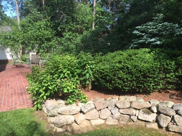 8 Reeve Road Sharon, MA 02067 - Photo 12 of 16