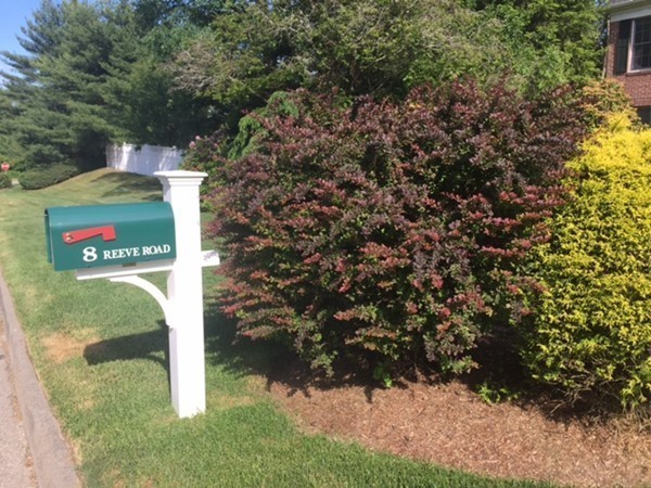 8 Reeve Road Sharon, MA 02067 - Photo 15 of 16