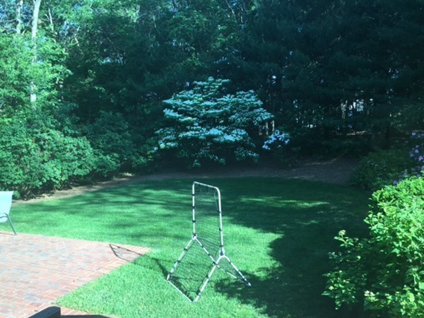 8 Reeve Road Sharon, MA 02067 - Photo 16 of 16