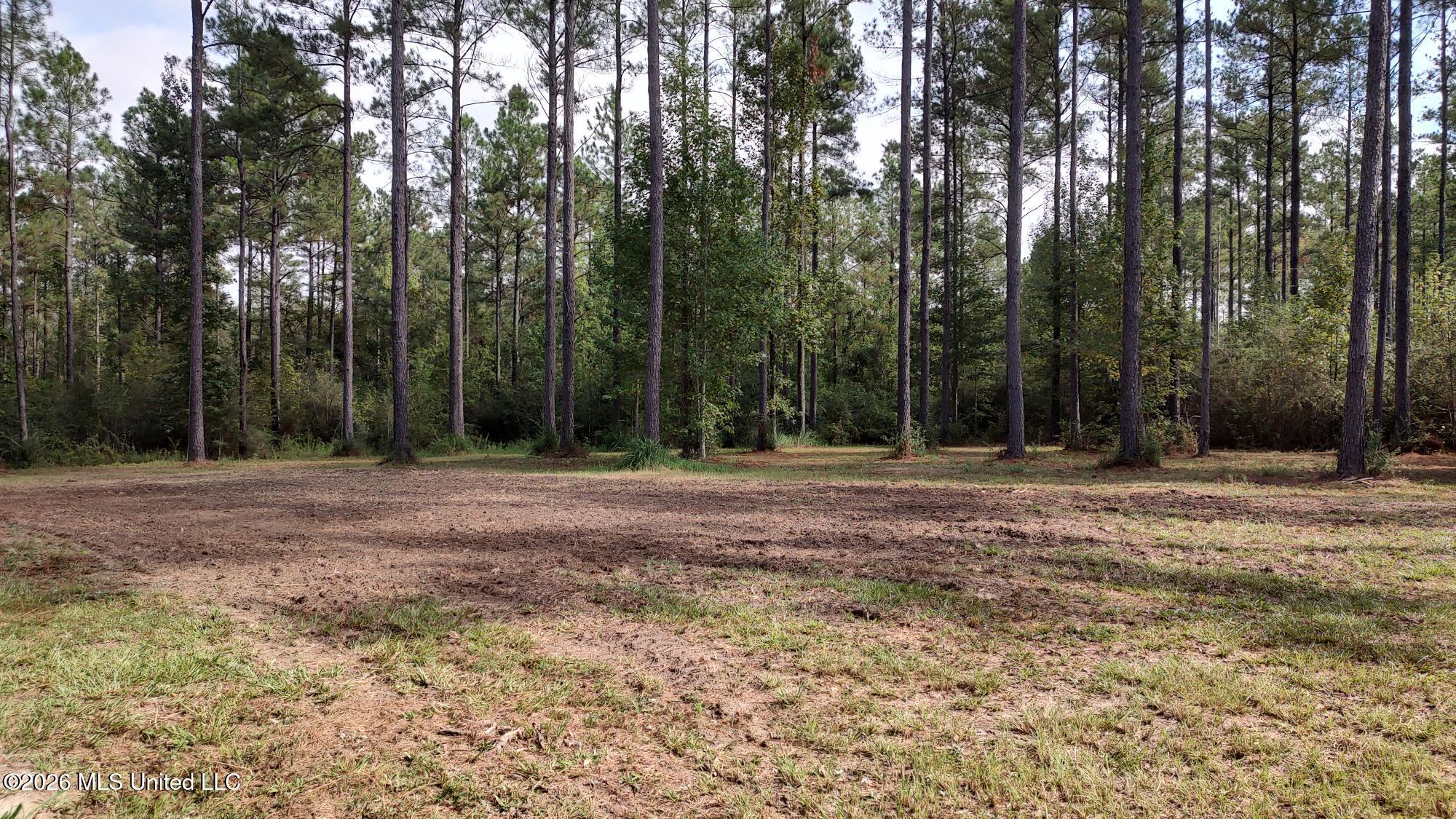 0 Ms-13 Lumberton, MS 39455 - Photo 2 of 6 Hwy 13 Land 2