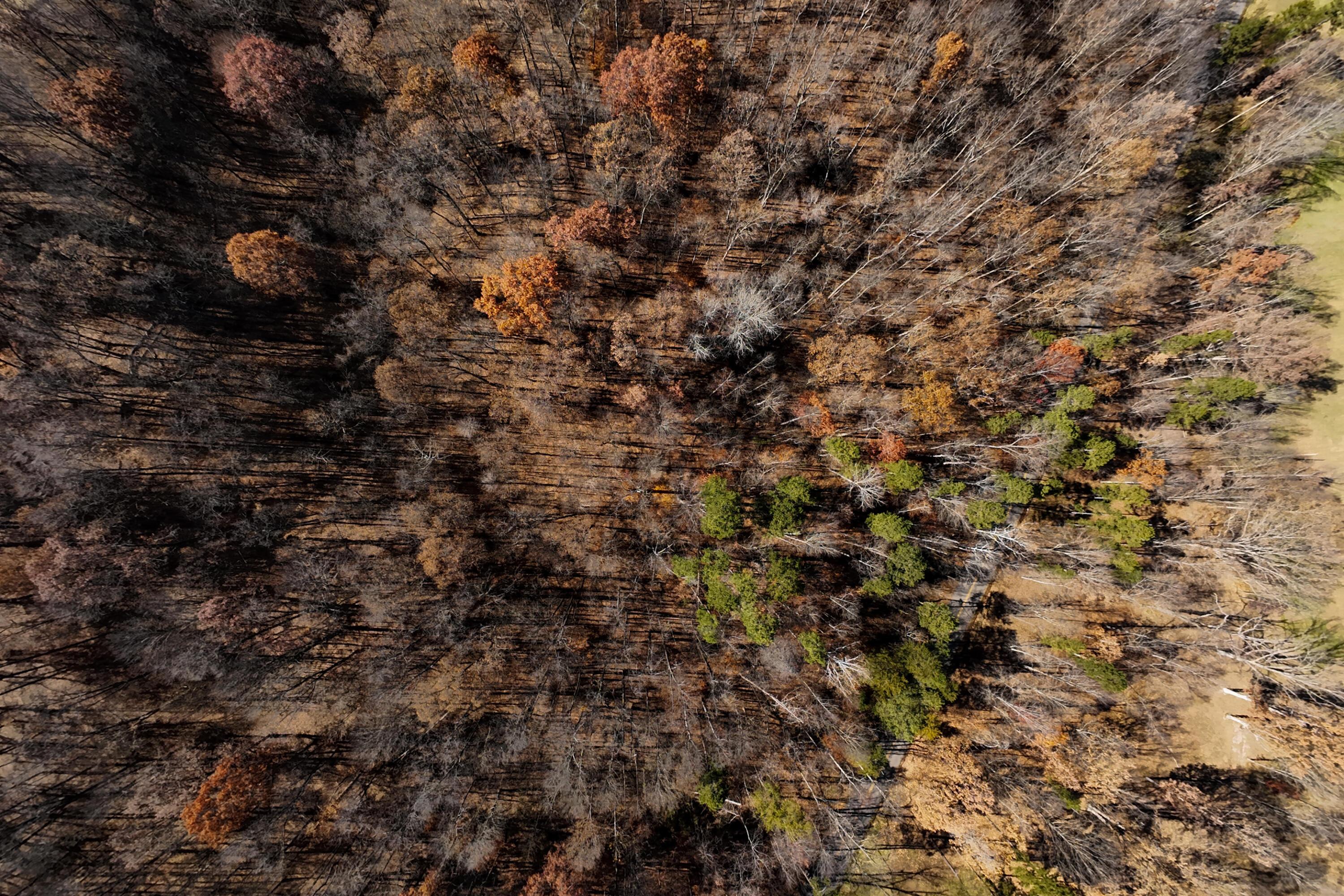 0 Morning Star Road Racine, OH 45771 - Photo 14 of 18 DJI_20251117124813_0040_D (1)