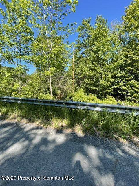 404 Martini Road Moscow, PA 18444 - Photo 6 of 12 Pole boundary rt. side