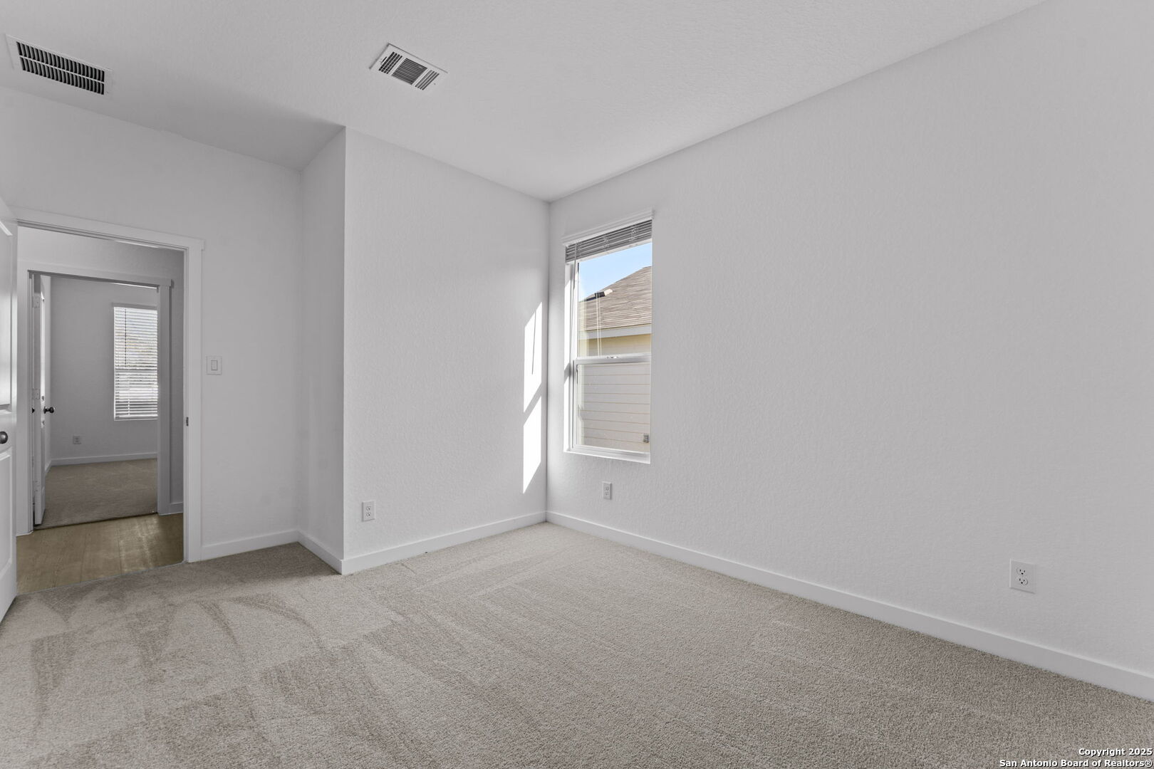 726 Bee Ridge Point New Braunfels, TX 78130 - Photo 4 of 24