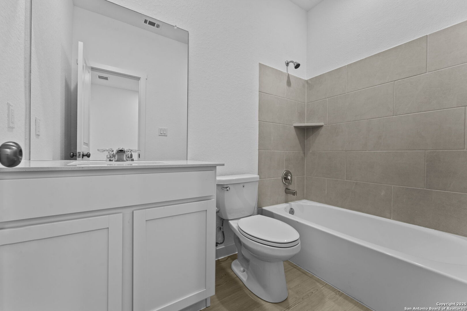 726 Bee Ridge Point New Braunfels, TX 78130 - Photo 5 of 24