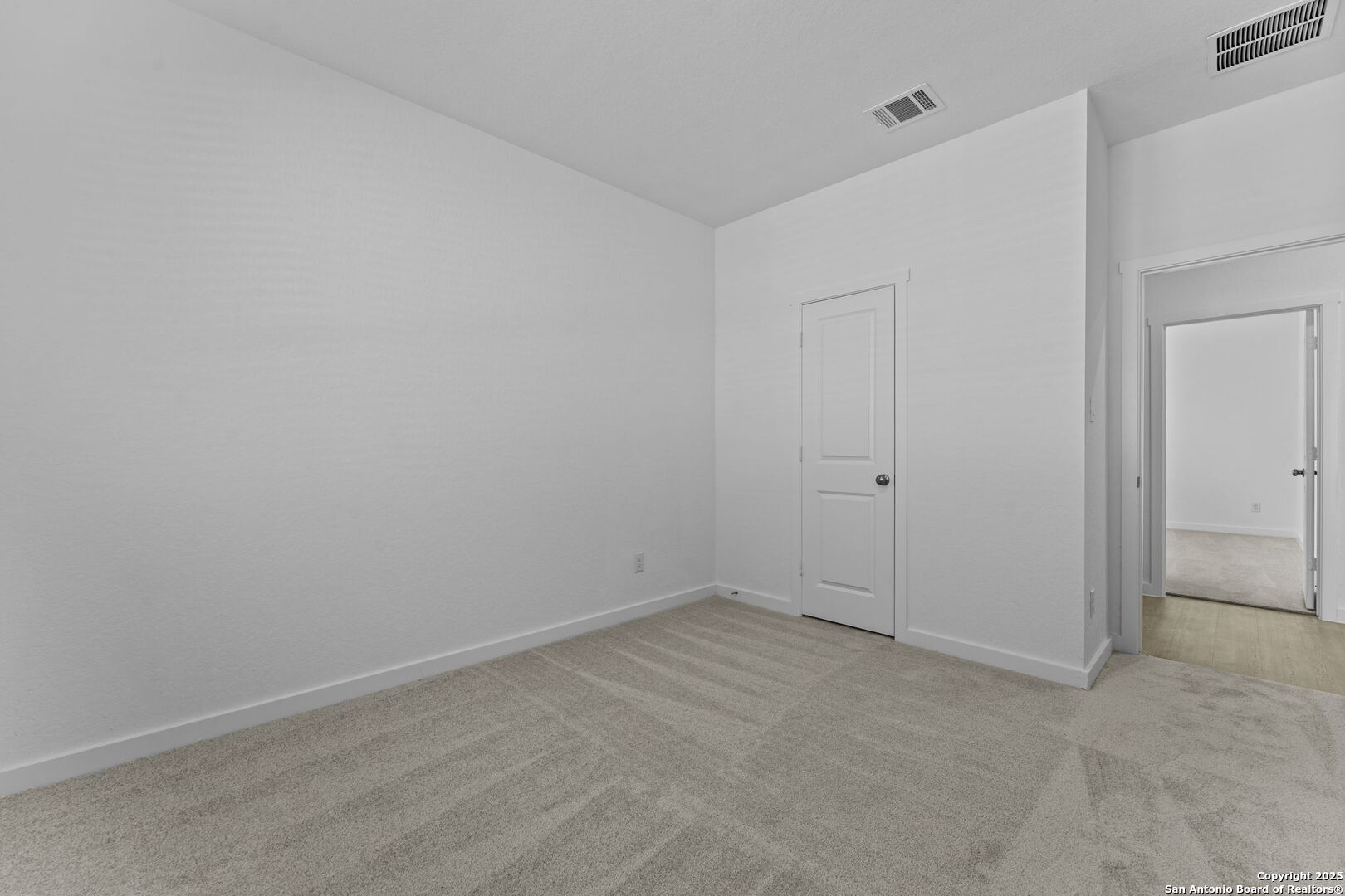 726 Bee Ridge Point New Braunfels, TX 78130 - Photo 7 of 24