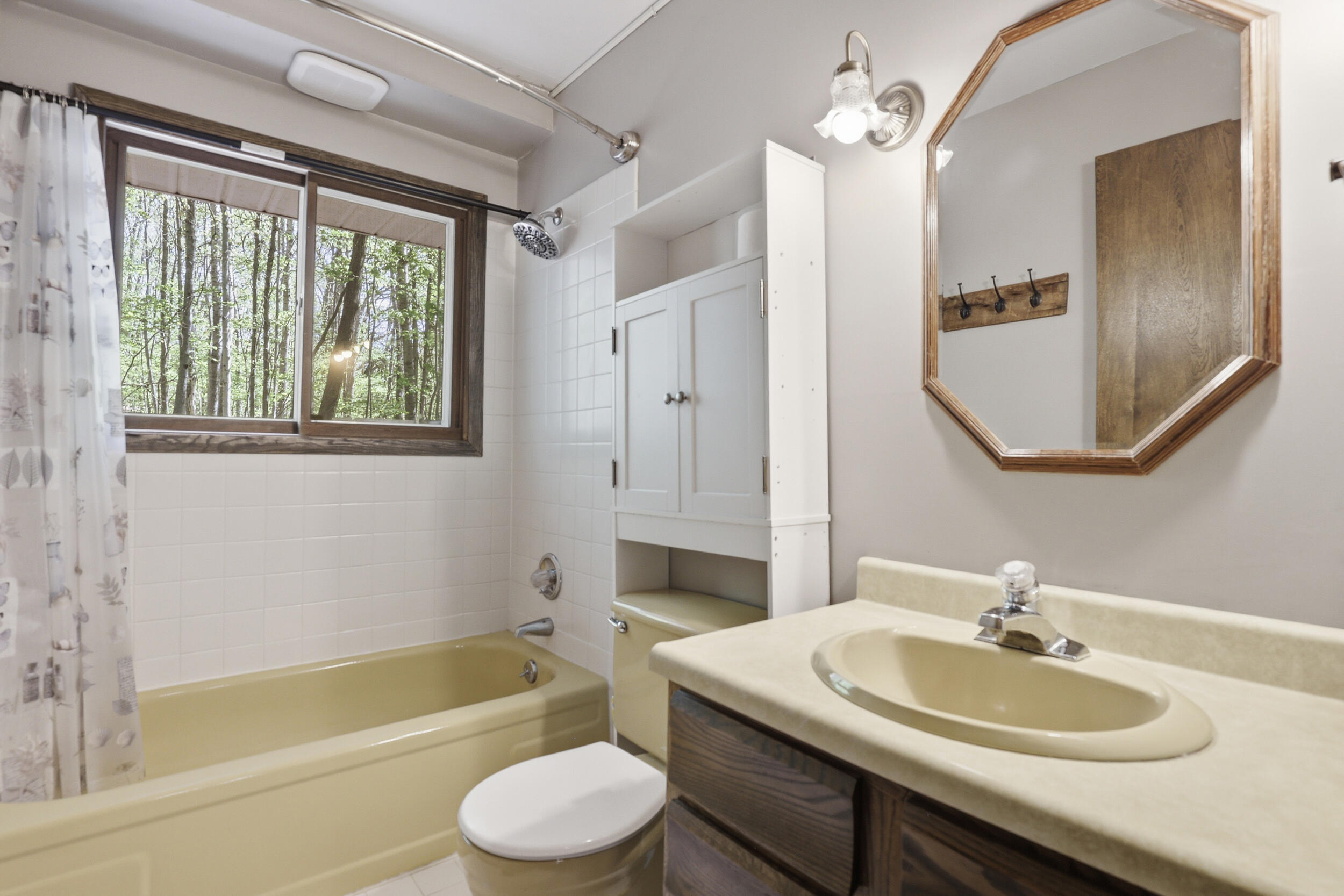 9965 Rising Star Lane Canadian Lakes, MI 49346 - Photo 24 of 50 Guest Bath