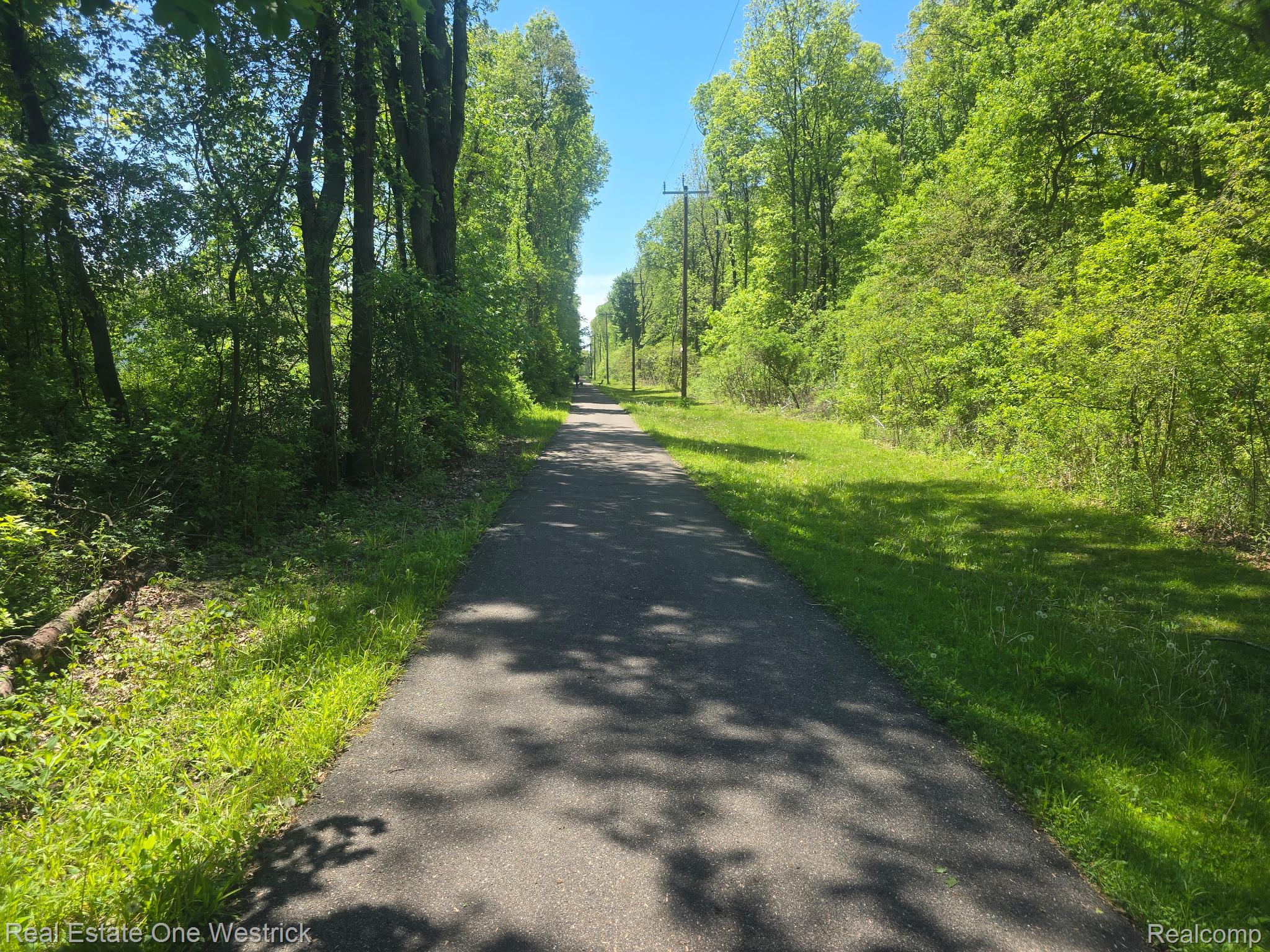 9236 River Road Algonac, MI 48001 - Photo 31 of 31 Walking trail south