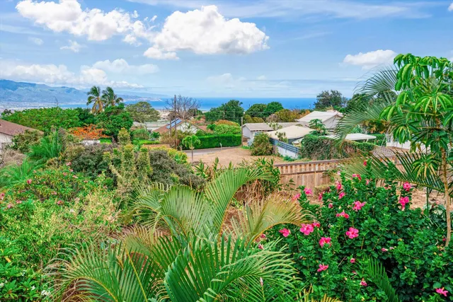 a view of a flower in a garden