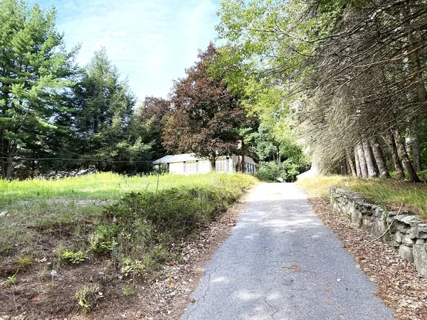 a view of a yard with plants and trees