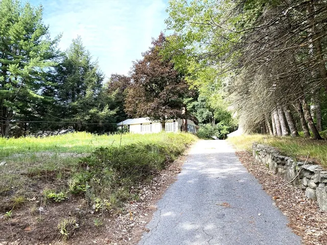 a view of a yard with plants and trees