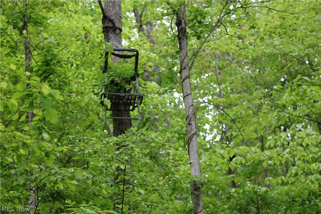 61342 High Hill Road Cambridge, OH 43725 - Photo 21 of 37