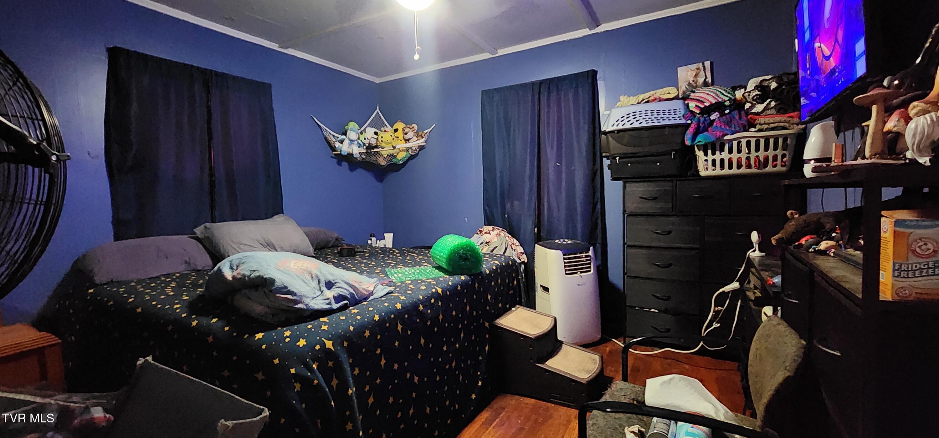 159 Millard Street Bristol, VA 24201 - Photo 8 of 12 20250702_110854