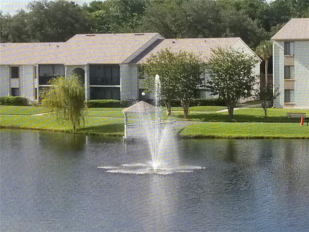 a view of a house next to a lake with a big yard