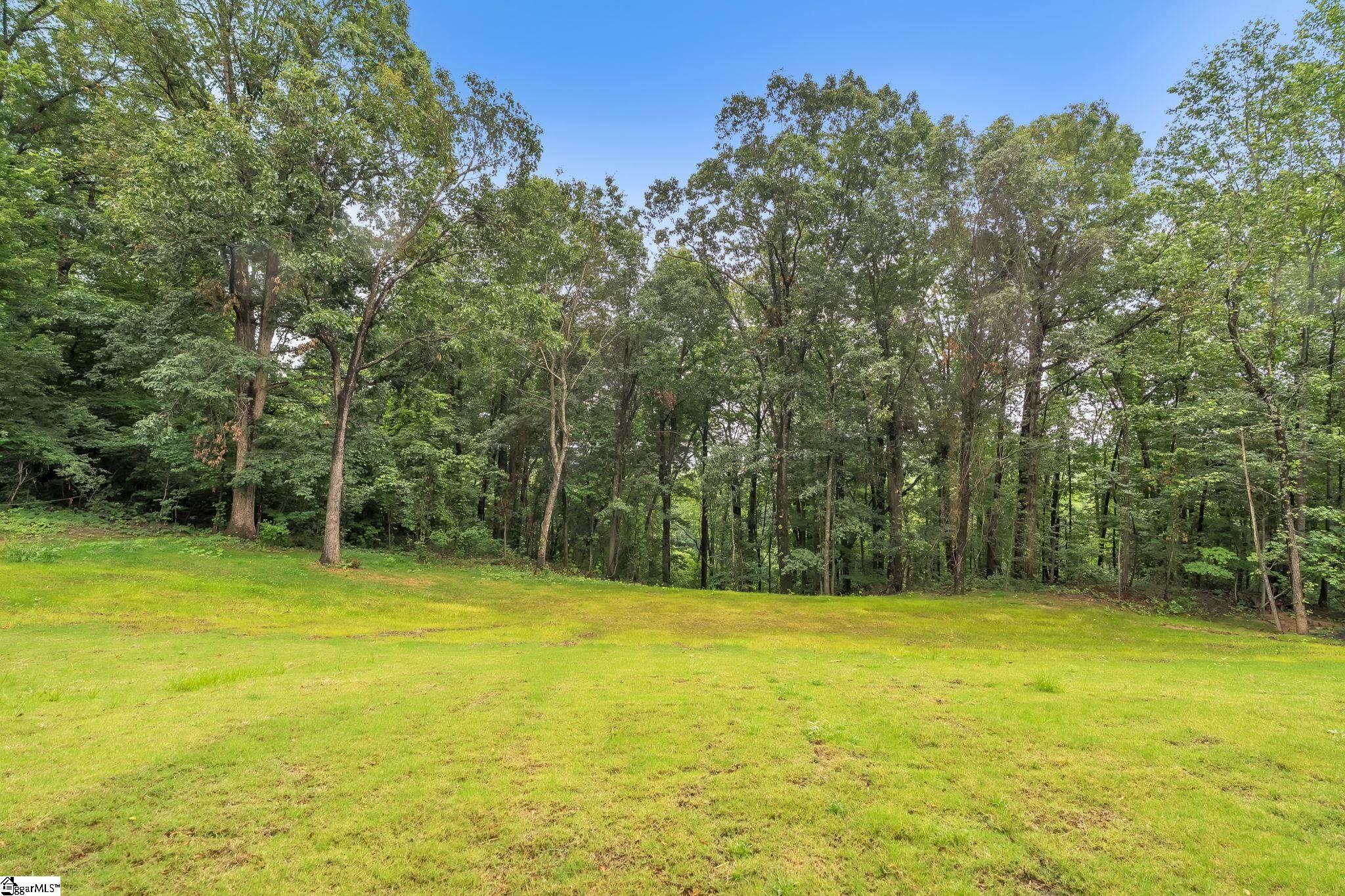 800 Glassy Road Landrum, SC 29356 - Photo 26 of 32
