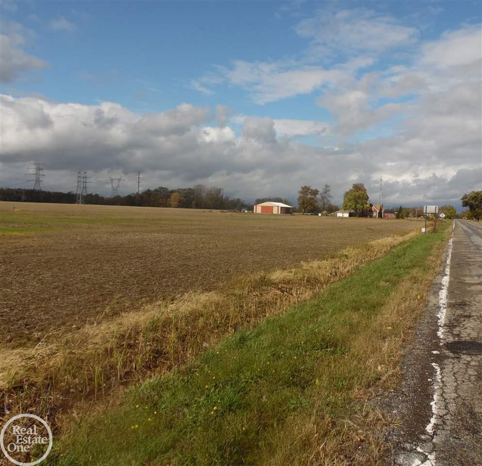 Fitz Road Goodells, MI 48027 - Photo 5 of 9