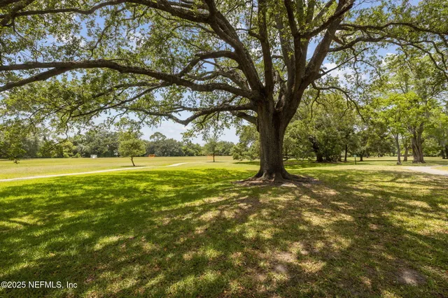 a view of a swimming pool with a yard
