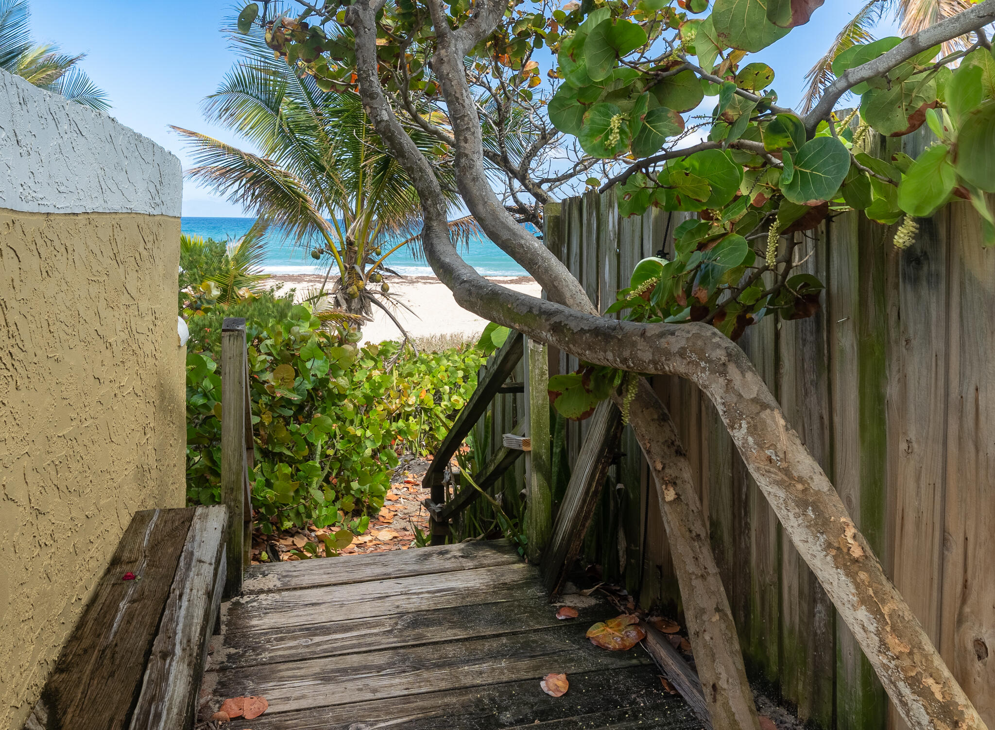 205 Coral Road, Unit 1 Boynton Beach, FL 33435 - Photo 3 of 9 a view of outdoor space and yard