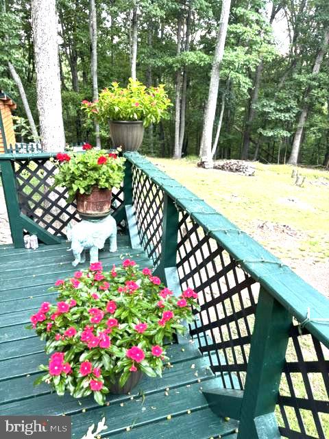 141 Matthews Loop Mathias, WV 26812 - Photo 24 of 37 Gallery Image 24
