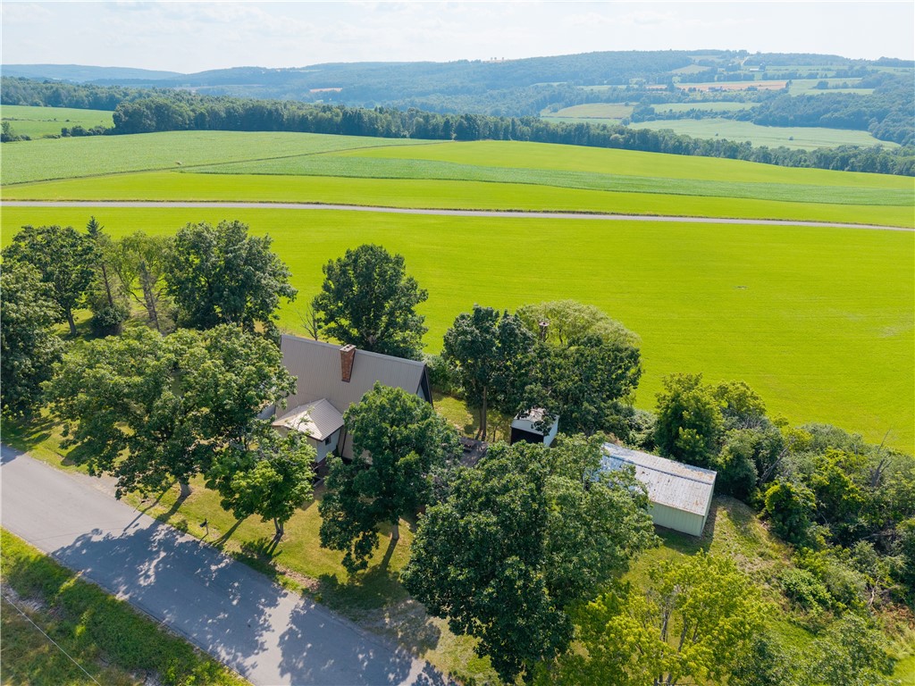 9876 J Jay Knapp Road Ossian, NY 14437 - Photo 7 of 50