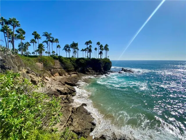 a view of a swimming pool with an ocean and lots of trees in the background
