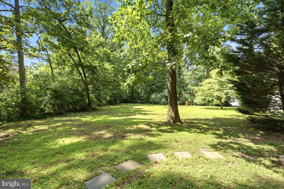 5803 Hall Street Burke, VA 22015 - Photo 73 of 77