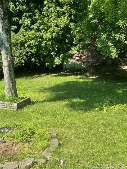 555 Frost Road Waterbury, CT 06705 - Photo 3 of 11 a view of a yard