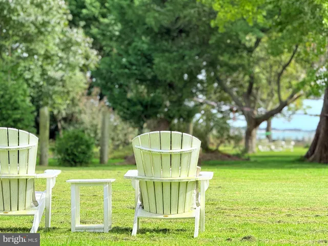 a view of a fountain in a yard with plants
