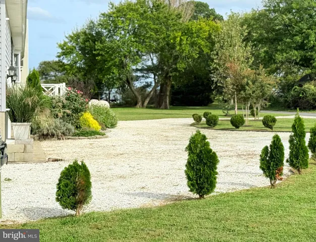 a view of a swimming pool with a garden