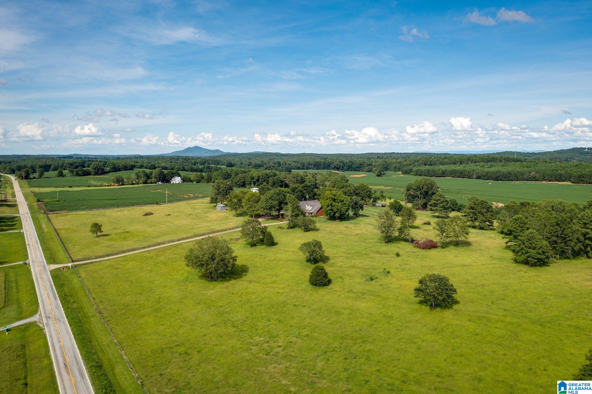 9245 Grist Mill Road Childersburg, AL 35044 - Photo 10 of 37