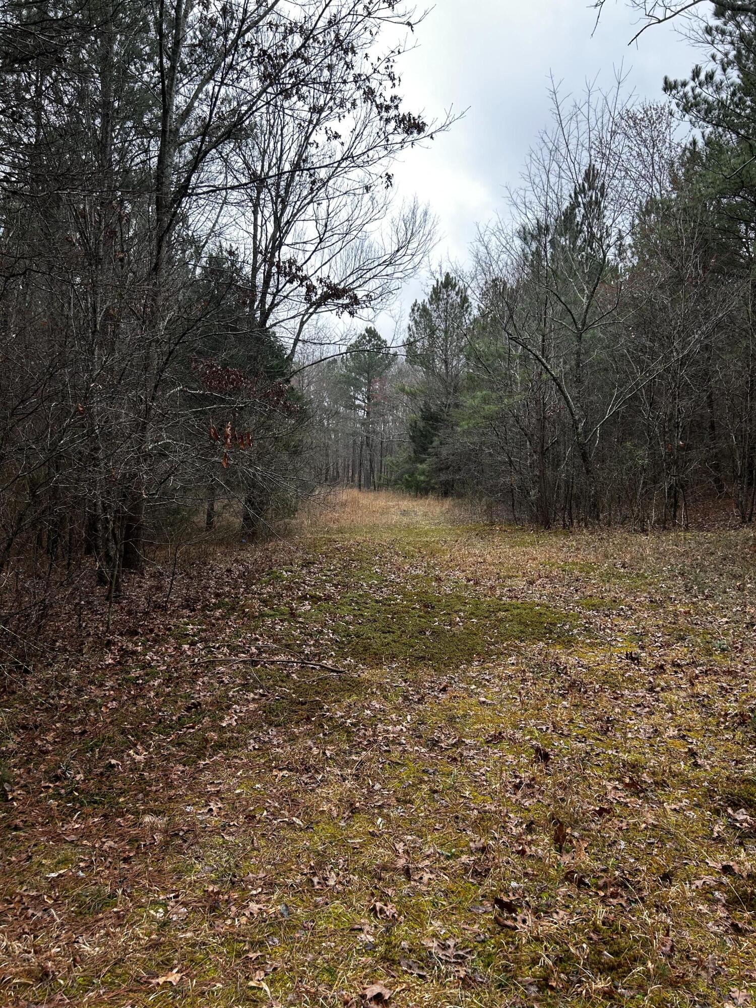 3286 Corinth Road LaFayette, GA 30728 - Photo 1 of 2 IMG-4293