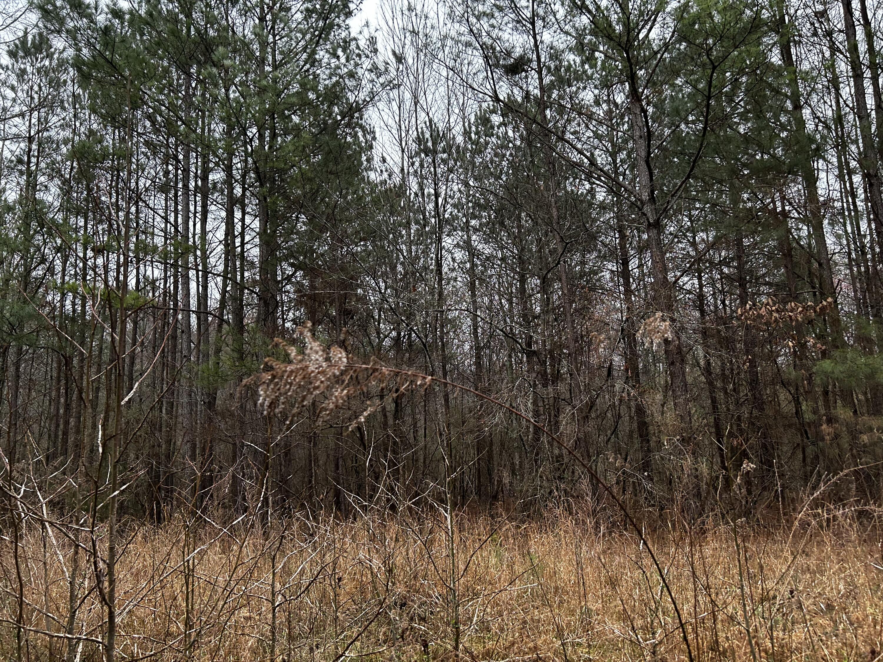3286 Corinth Road LaFayette, GA 30728 - Photo 2 of 2 IMG-4294