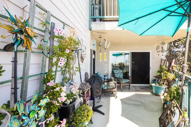 a potted plant sitting in front of a building
