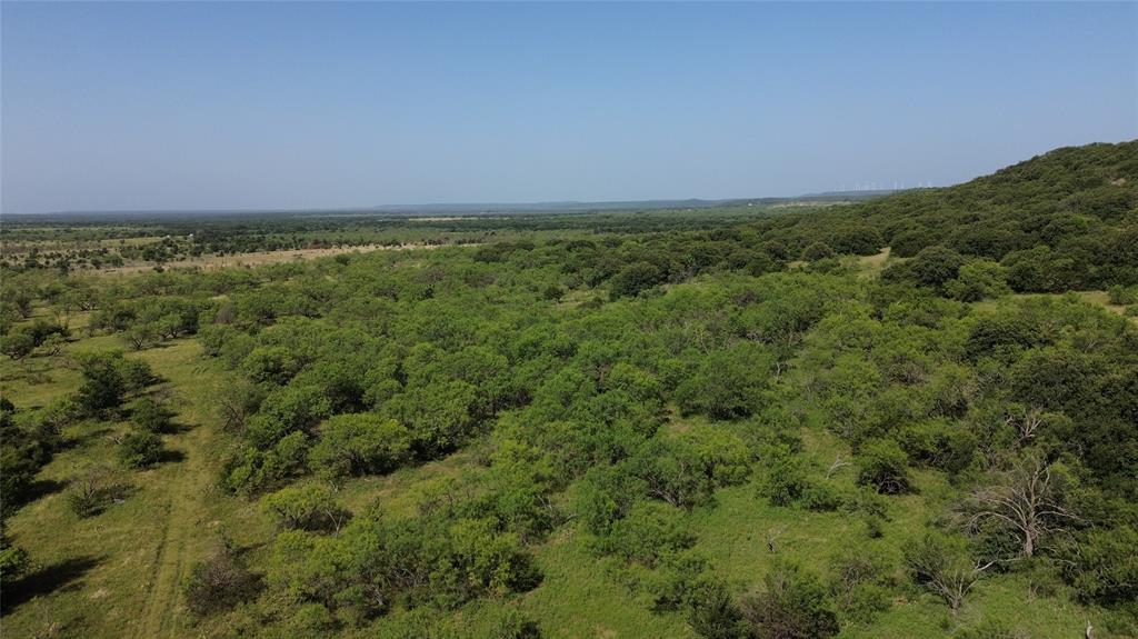 Tbd Nash Road Jacksboro, TX 76458 - Photo 11 of 28 Expansive natural landscape featuring varied topography, including a prominent tree-covered hillside and open grassy areas