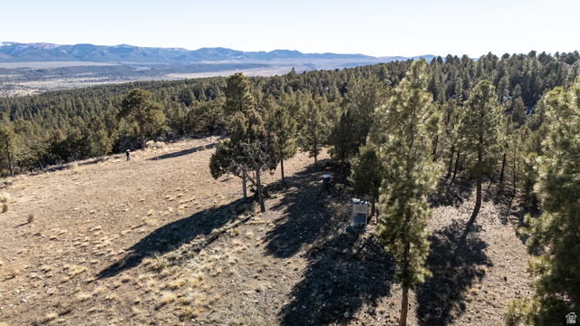 1955 West Mammoth Crk Road Hatch, UT 84735 - Photo 23 of 52 Expansive acreage featuring a sloped terrain, abundant pine trees, scattered brush, a distant mountain range, and a clear sky