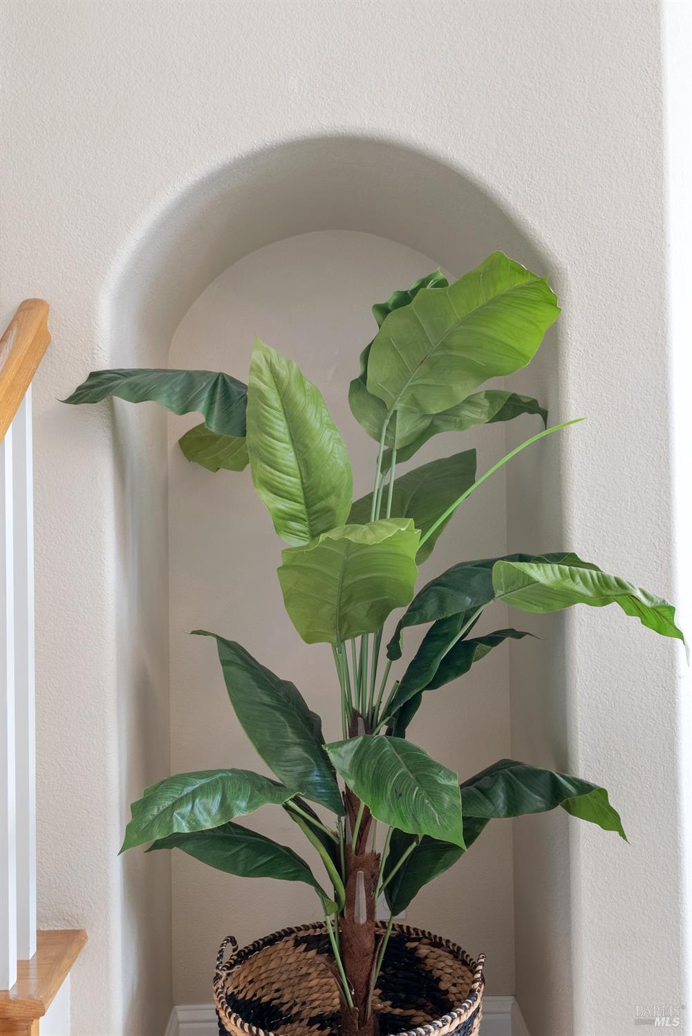 5783 Owl Light Terrace Santa Rosa, CA 95409 - Photo 11 of 51 a vase of flowers sitting on a table