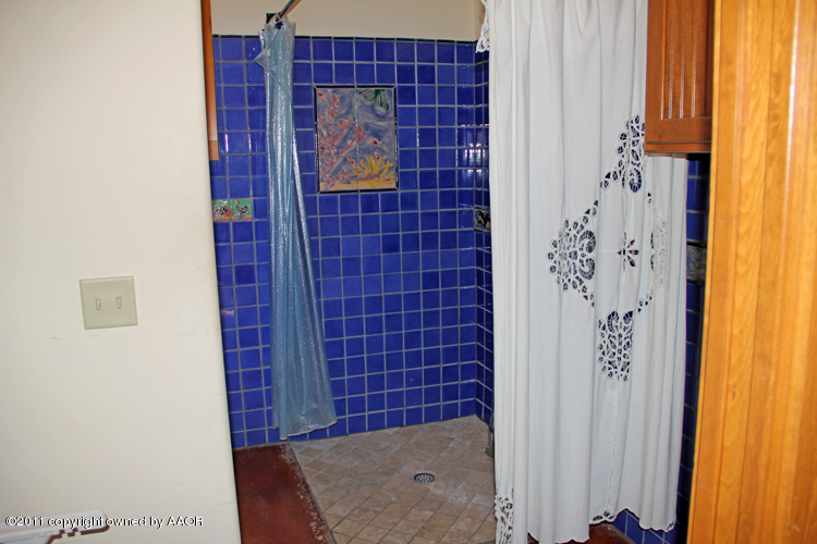 10200 Kukihalo Road Amarillo, TX 79124 - Photo 52 of 75 Handicap Shower