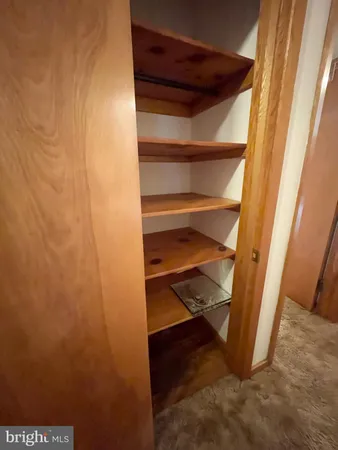 a view of walk in closet with empty racks