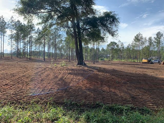 0 County Road Headland, AL 36345 - Photo 1 of 1