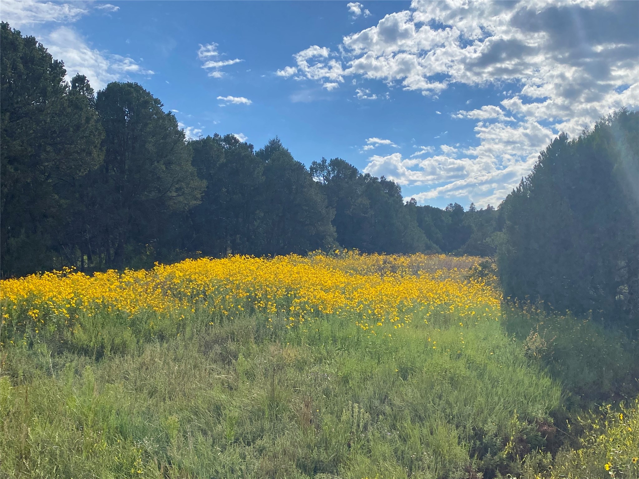 45 The Cliffs View Glorieta, NM 87535 - Photo 2 of 11