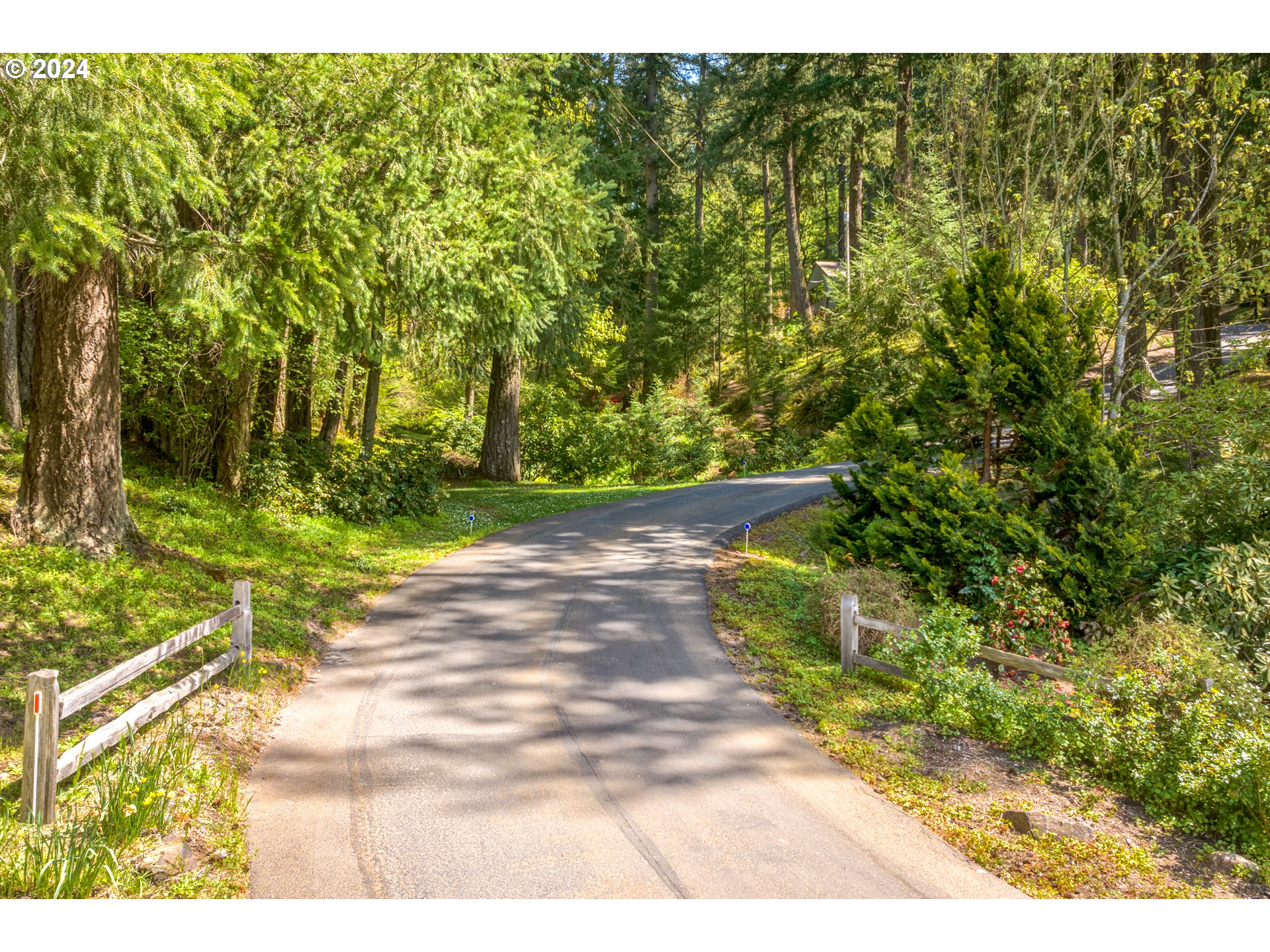 20828 South Mattoon Road Estacada, OR 97023 - Photo 46 of 48 a view of a yard with plants and large trees