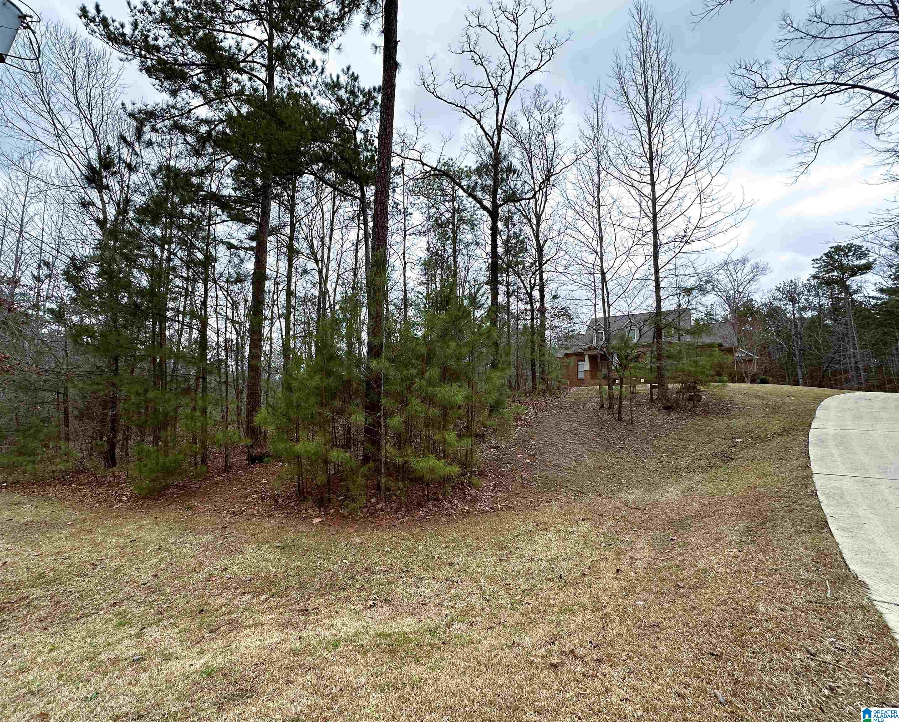 7915 Springer Road McCalla, AL 35111 - Photo 50 of 58