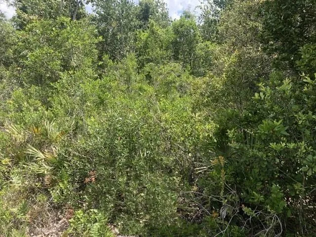$19,500 | 0 Xeriscape Nursery Road, Frostproof, FL 33843
